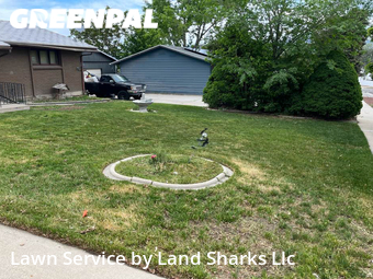 Lawn Cut nearby Salt Lake City, UT, 