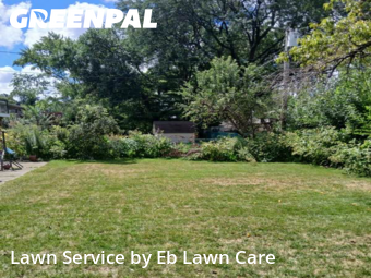 Yard Upkeep in Mount Prospect, 60056, Property Maintenance by Eb Lawn Care , work completed in Nov , 2025