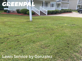 Lawn Cut nearby Lillington, NC, 