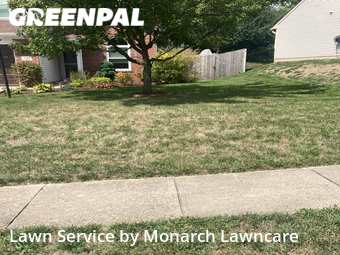 Grass Cut nearby Beech Grove, IN, 