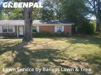 Grass Cutting nearby Tyler, TX, 