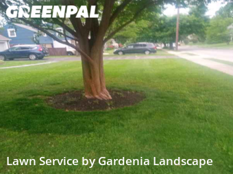 Grass Cutting nearby Lansdowne, PA, 