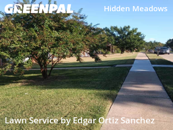 Yard Mowingin Plano,75074,Lawn Maintenance by Edgar Ortiz Sanchez, work completed in Oct , 2025