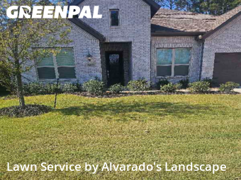Grass Cuttingin Porter,77365,Lawn Cut by Alvarado's Landscape, work completed in Nov , 2025