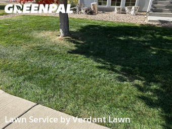 Grass Cutting nearby Loveland, CO, 