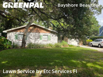 Grass Cut nearby Tampa, FL, 