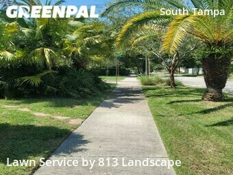 Grass Cut nearby Tampa, FL, 