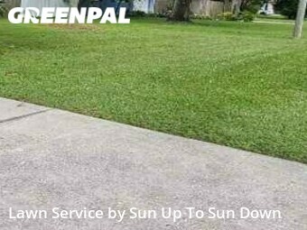 Lawn Cut nearby New Port Richey, FL, 