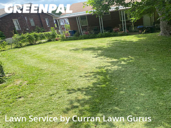 Lawn Cut nearby St. Louis, IL, 