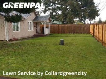 Lawn Maintenance nearby Tacoma, WA, 