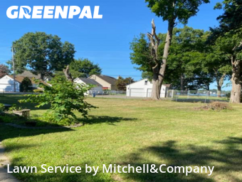 Yard Services in Waterford Township, 48329, Yard Cutting by Mitchell&Company, work completed in Oct , 2025