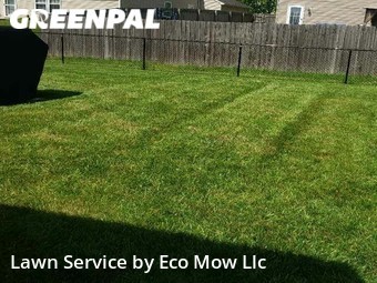 Lawn Cut nearby Indianapolis, IN, 