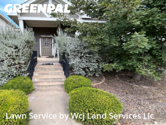 Work completed by grass-care-professionals-in-San Marcos-CA