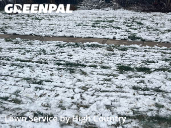 Lawn Service nearby Denver, CO, 