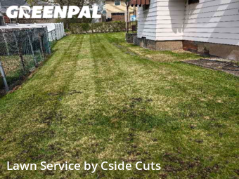 Lawn Mow nearby Pitcairn, PA, 