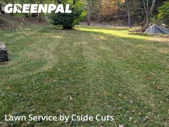 Yard Cutting nearby Pittsburgh, PA, 