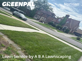 Grass Cut nearby Detroit, MI, 