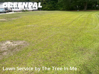 Lawn Care nearby Richlands, NC, 