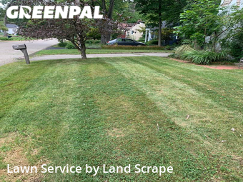 Lawn Cut nearby Kalamazoo, MI, 