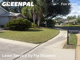 Lawn Mowing Service nearby Trinity, FL, 