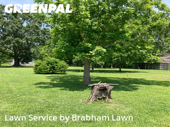 Lawn Cutting nearby Baton Rouge, LA, 