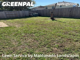 Lawn Mowin Spring,77379,Lawn Mow by Maldonado Landscapin, work completed in Dec , 2025