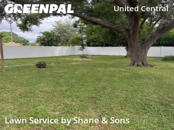 Grass Cut nearby St. Petersburg, FL, 