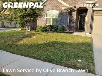 Grass Cut nearby Fort Worth, TX, 