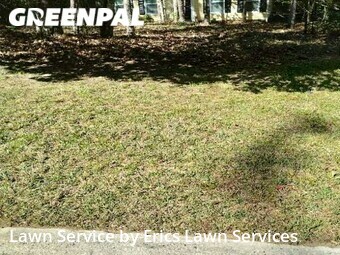 Lawn Cut nearby Matthews, NC, 