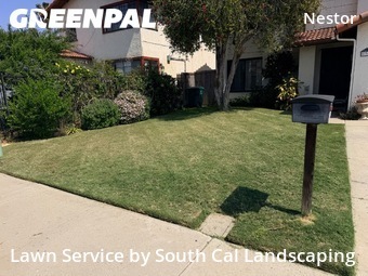 Grass Cutting nearby San Diego, CA, 
