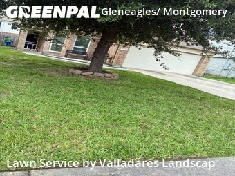 Lawn Mowing Service nearby Conroe, TX, 