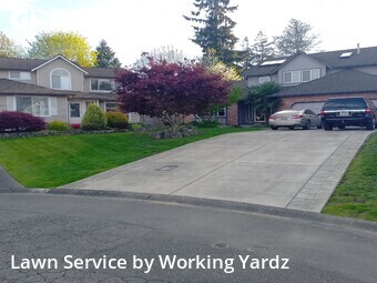 Lawn Maintenance nearby Kent, WA, 