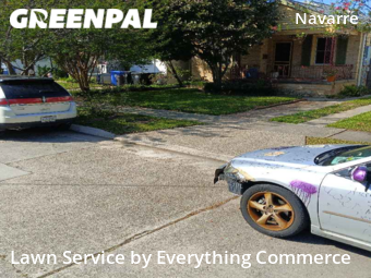 Yard Cutting nearby New Orleans, CO, 