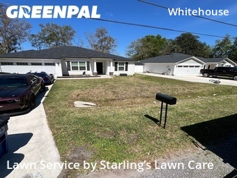 Grass Cut nearby Jacksonville, FL, 