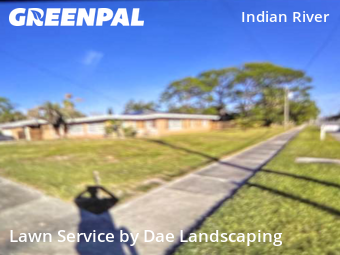 Weed Trimming in Titusville, 32780, Turf Services by Dae Landscaping, work completed in Dec , 2025