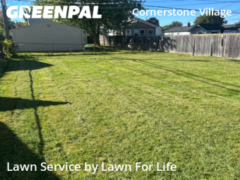 Yard Mowing nearby Detroit, MI, 