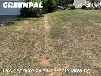 Lawn Cutting nearby Charlotte, NC, 