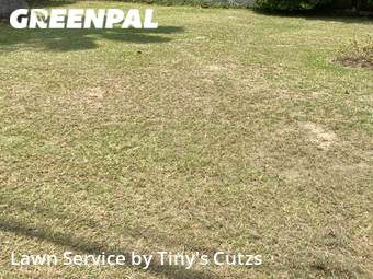 Grass Cutting nearby Valdosta, GA, 