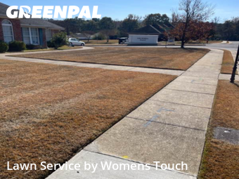 Grass Cut nearby Tuscaloosa, AL, 