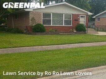 Lawn mowed in Chicago Heights, 60411