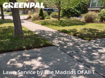 Yard Mowing nearby Timnath, CO, 