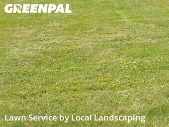 Grass Cut nearby Marion, OH, 