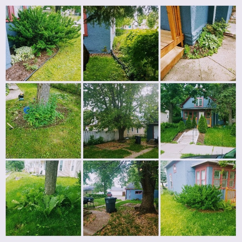 Lawnscaping Lawn Care Services in Fridley, MN