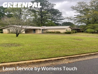 Lawn Mow nearby Northport, AL, 