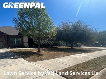 Lawn Mowing nearby Cibolo, TX, 