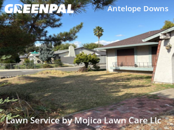 Work completed by local-lawn-cutting-services-in-Citrus Heights-CA