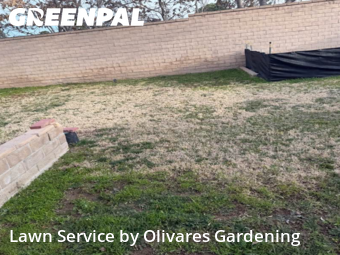 Work completed by the-yard-cutting-businesses-in-Palmdale-CA