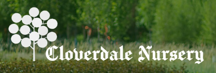 Best Nursery in Meridian Idaho 4