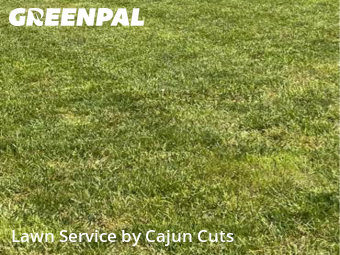 Lawn Care nearby Murfreesboro, TN, 