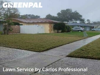 Grass Cut nearby Seminole, FL, 
